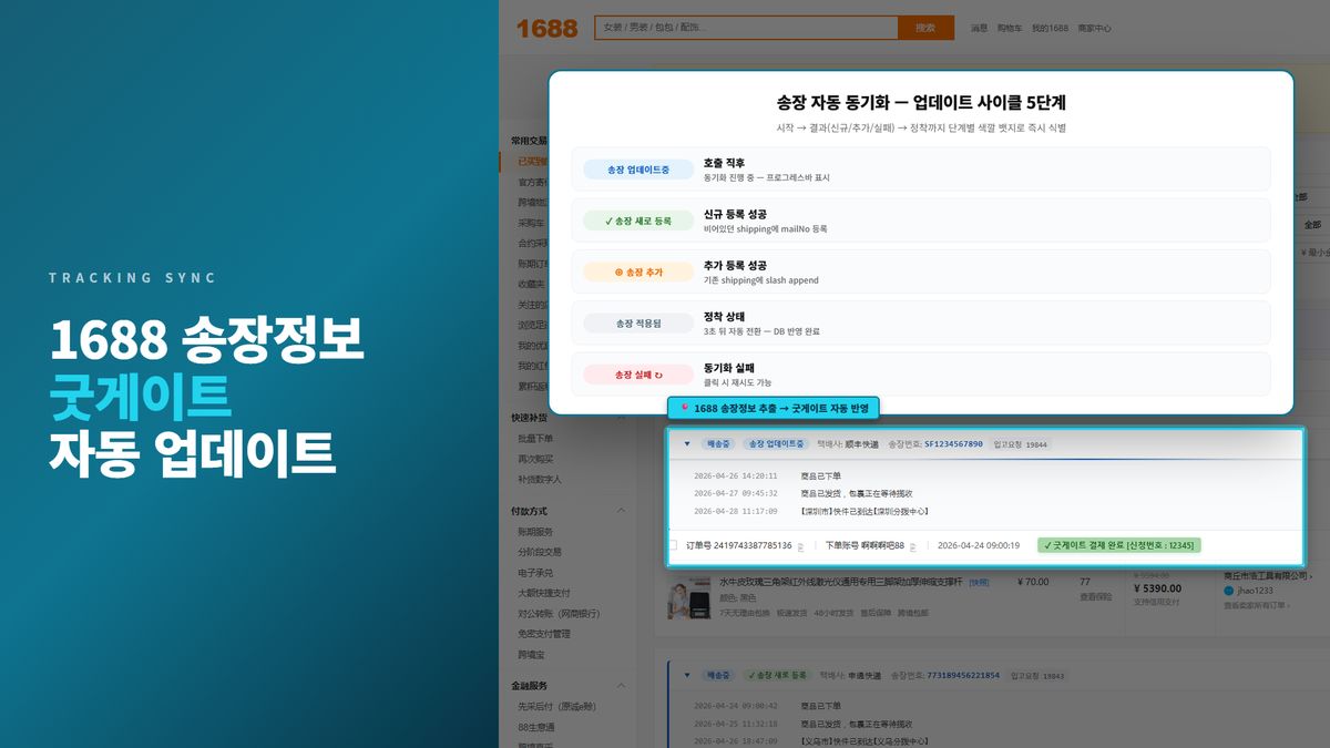 사진8