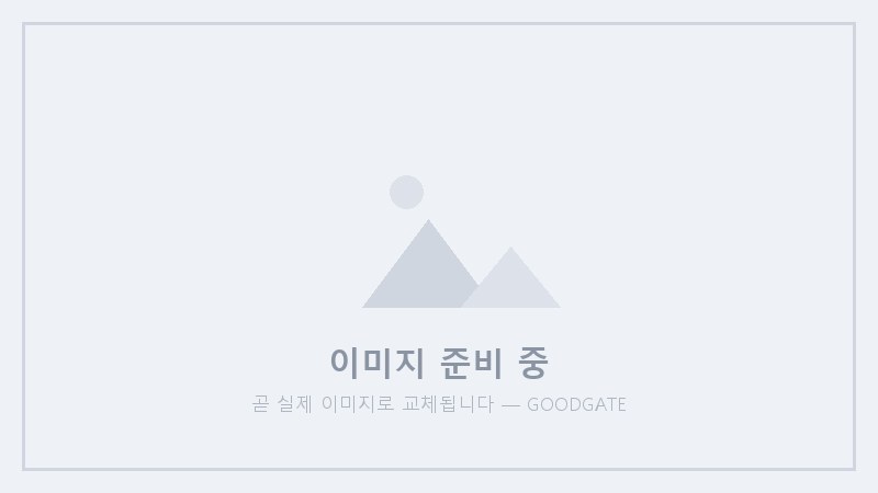 사진8